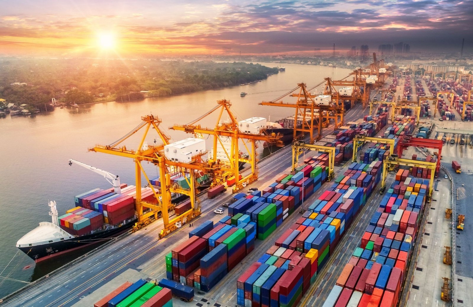 Ngành Logistic và quản lý chuỗi cung ứng